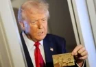 Trump’ın “Altın Kart”ına büyük ilgi: 68 bini aşkın kişi başvurdu