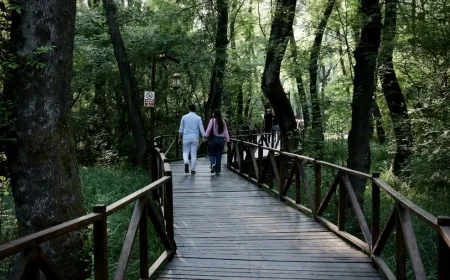 Çakırlar Korusu'ne ziyaretçiler akın ediyor