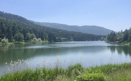 Bolu'nun milli parklarına ziyaretçi yağdı